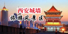 亚洲中日韩操逼中国陕西-西安城墙旅游风景区